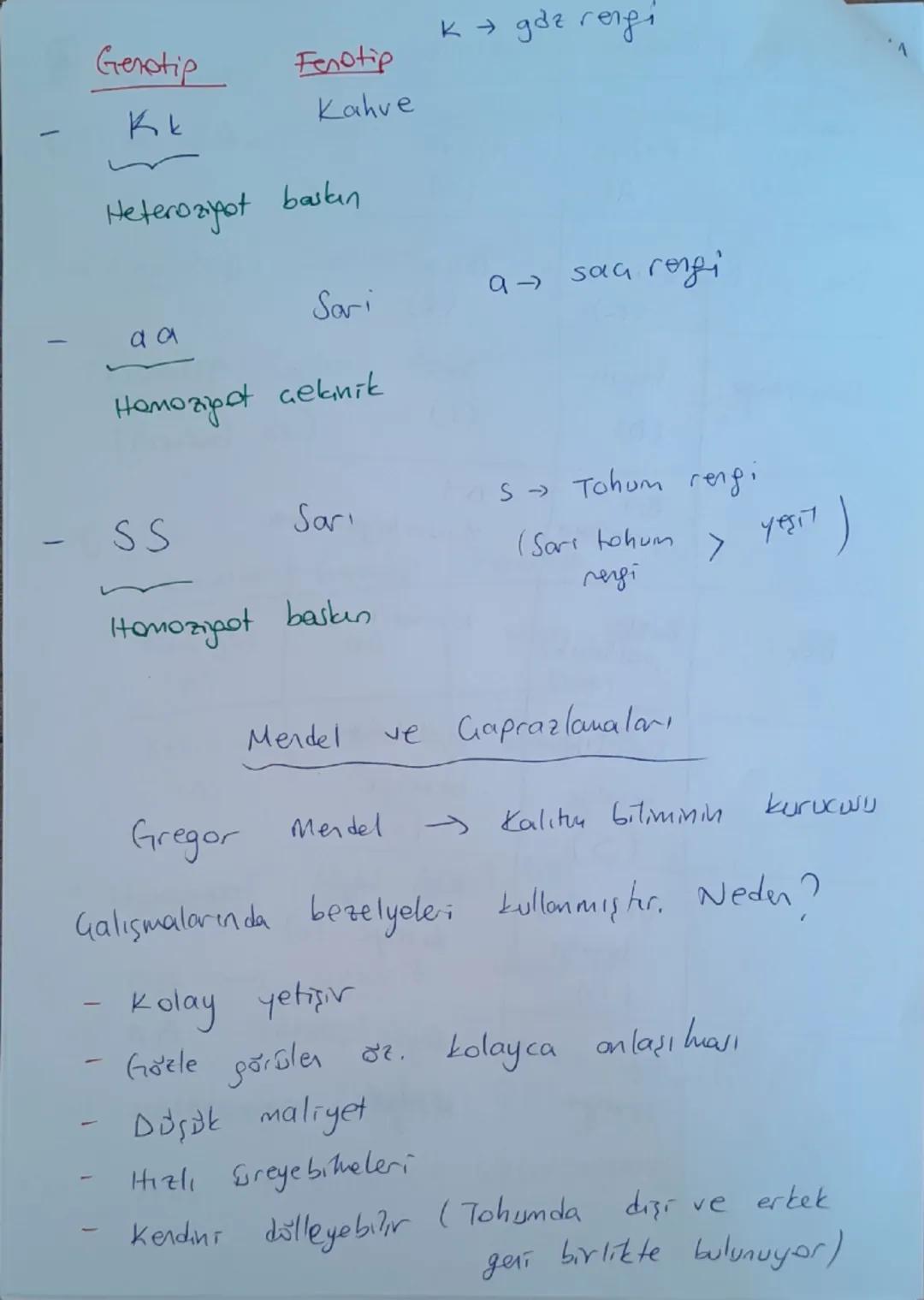 KALI TIM
(Kalıtım Bilimi = Genetik)
1.10.2024
1
Anne
Baba
Çocuk
→ Anne ve babadan gelen genlerin (kalıtsal
özelliklerm) yavru döllere aktarı