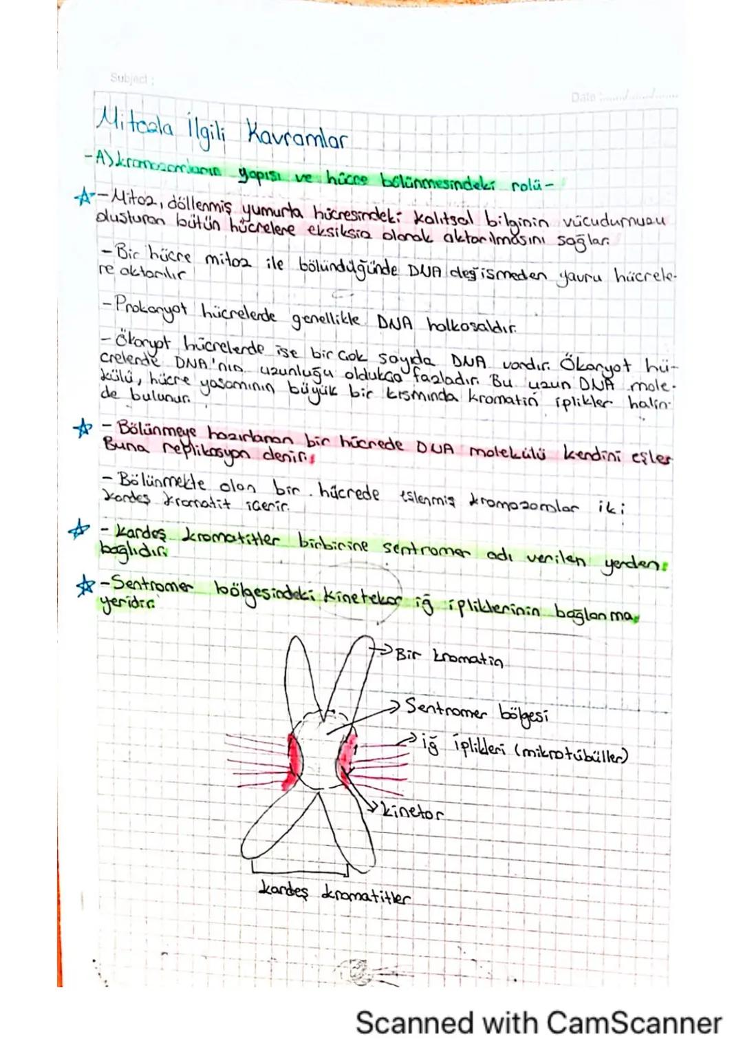 Date
Subject:
Mitcala ilgili Kavramlar
-A) kromosomların yapısı ve hücre bölünmesindeki rolü-
A--Mito2, döllenmiş yumurta hücresindeki kalit