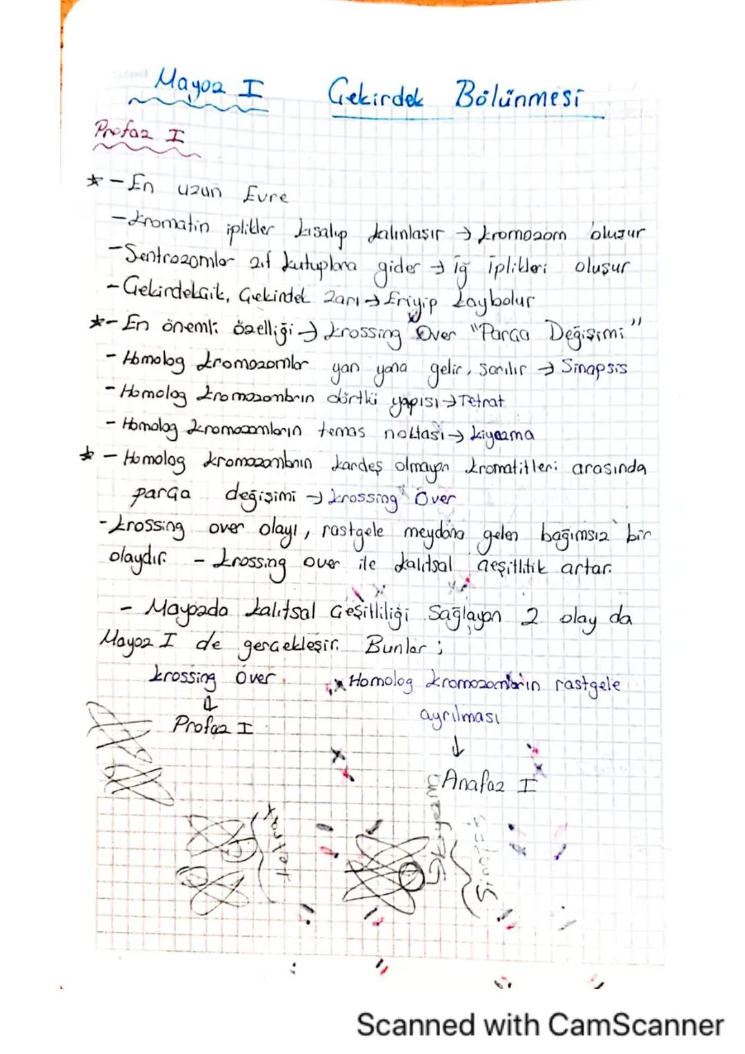 Date
Subject:
Mitcala ilgili Kavramlar
-A) kromosomların yapısı ve hücre bölünmesindeki rolü-
A--Mito2, döllenmiş yumurta hücresindeki kalit