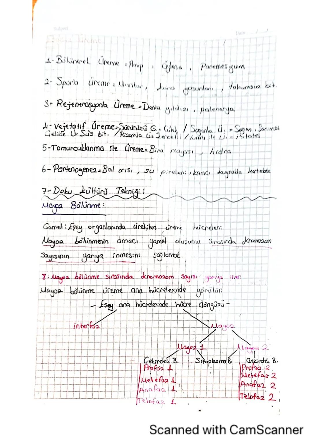 Date
Subject:
Mitcala ilgili Kavramlar
-A) kromosomların yapısı ve hücre bölünmesindeki rolü-
A--Mito2, döllenmiş yumurta hücresindeki kalit