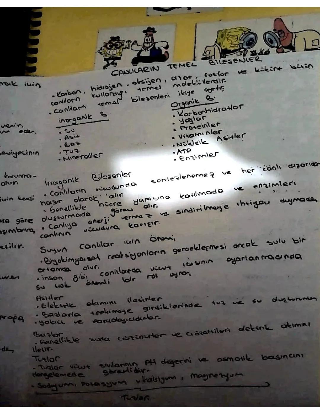 TYT Biyoloji Canlıların Temel Bileşenleri 