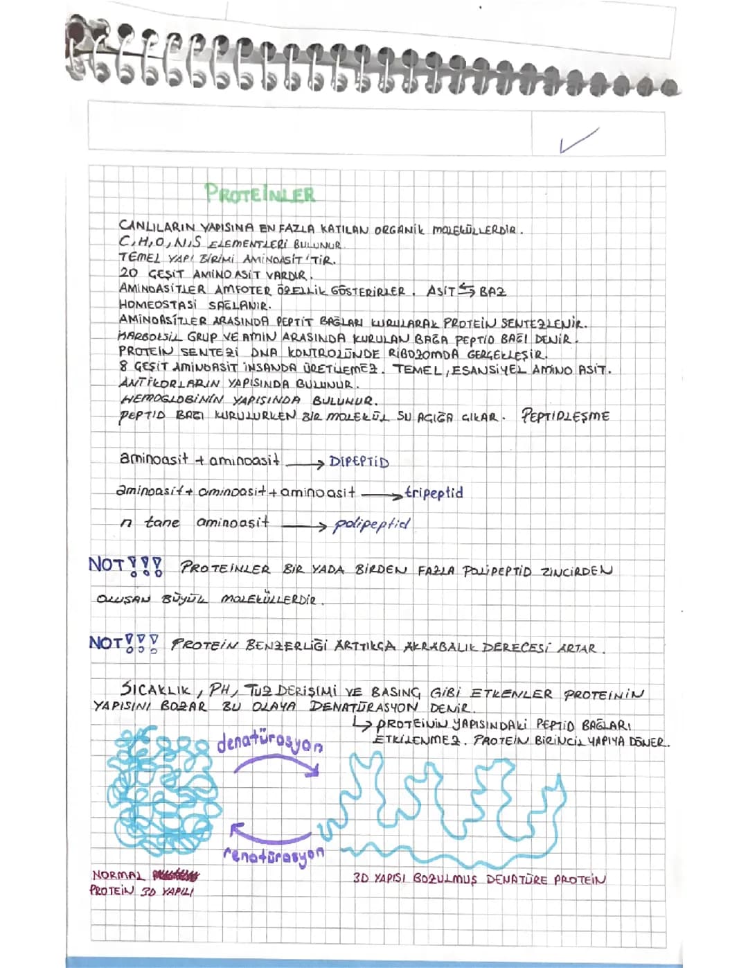 Protein ve enzimler biyoloji 9.sınıf konusu