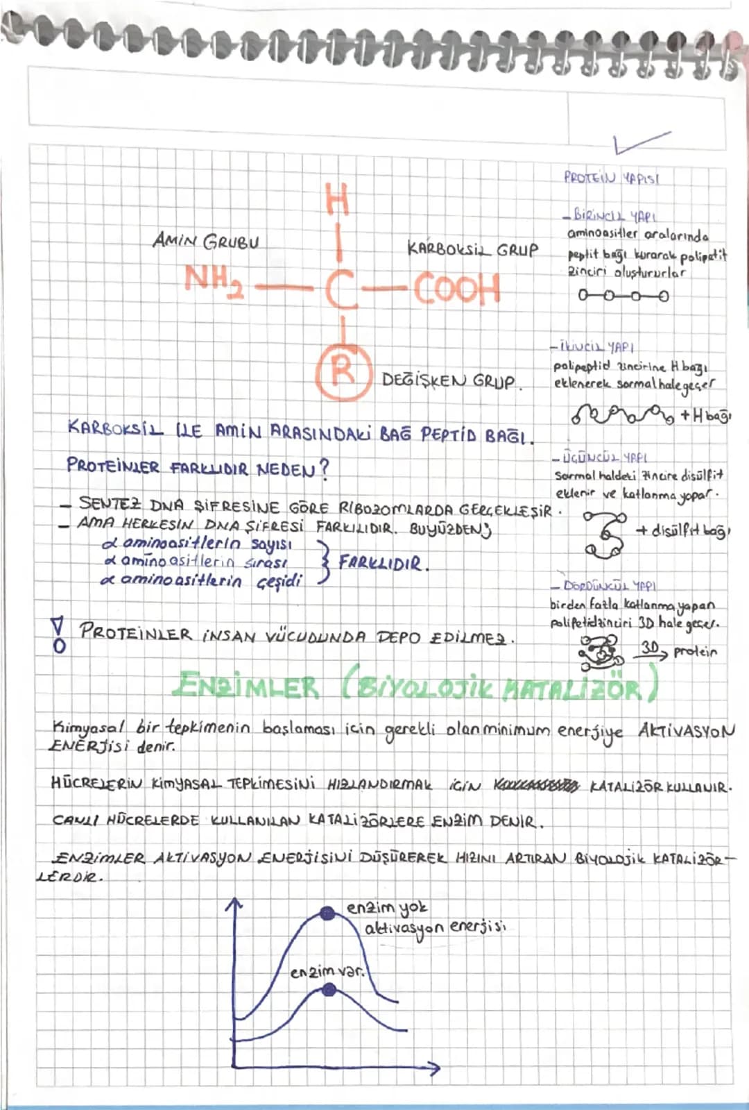 PROTEINLER
CANLILARIN YAPISINA EN FAZLA KATILAN ORGANİK MOLEKULLERDIR.
CH,O,NIS ELEMENTLERİ BULUNUR.
TEMEL YAP BİRİMİ AMINOASIT 'TIR.
20 GES