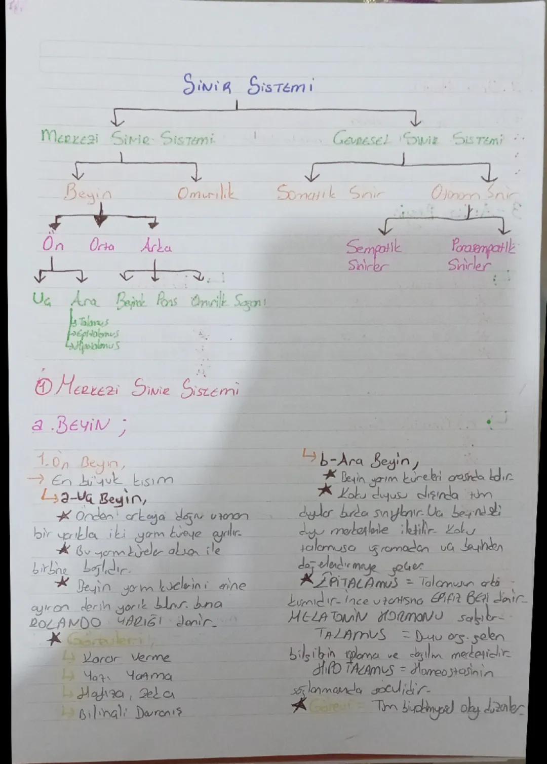 [Sinig Siscera
SINIR SISTEMI
✓ Gevresel yarılara tepki vermeyi sağlayan sistem.
Sinir dokuden oluşur. Yani NÖRON ve GLIA
NORON (SINIR Nucets