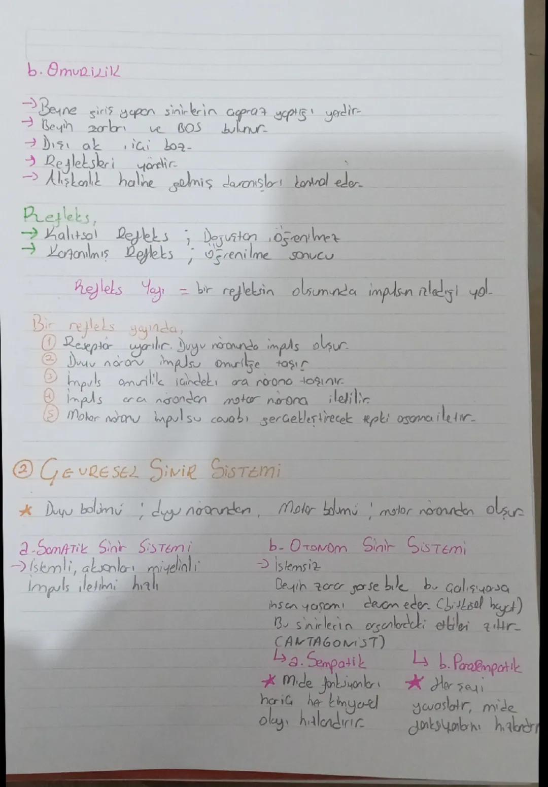 [Sinig Siscera
SINIR SISTEMI
✓ Gevresel yarılara tepki vermeyi sağlayan sistem.
Sinir dokuden oluşur. Yani NÖRON ve GLIA
NORON (SINIR Nucets