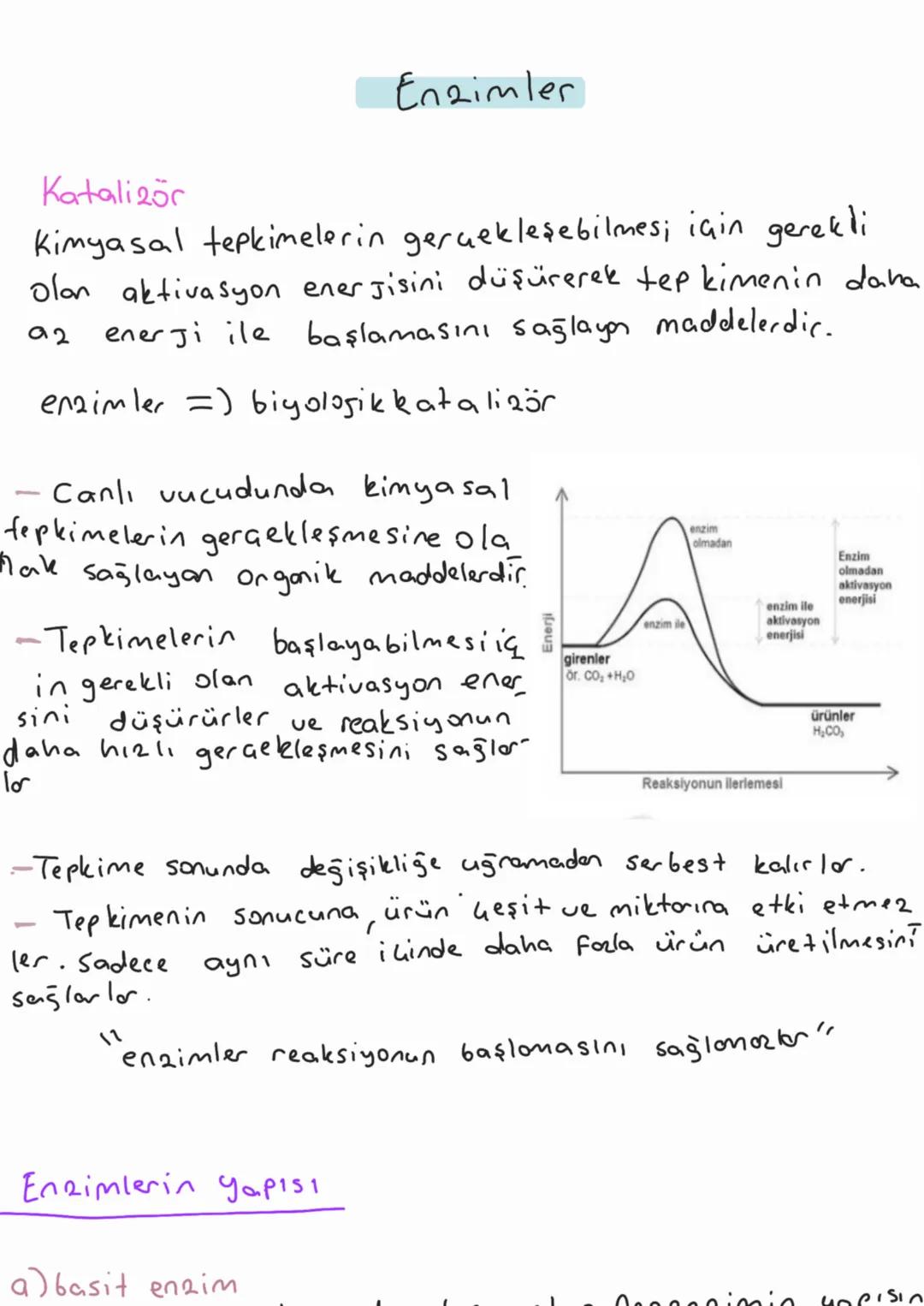 Katalizör
Enzimler
Kimyasal tepkimelerin gerçekleşebilmesi için gerekli
olan aktivasyon enerjisini düşürerek tepkimenin daha
enerji ile başl