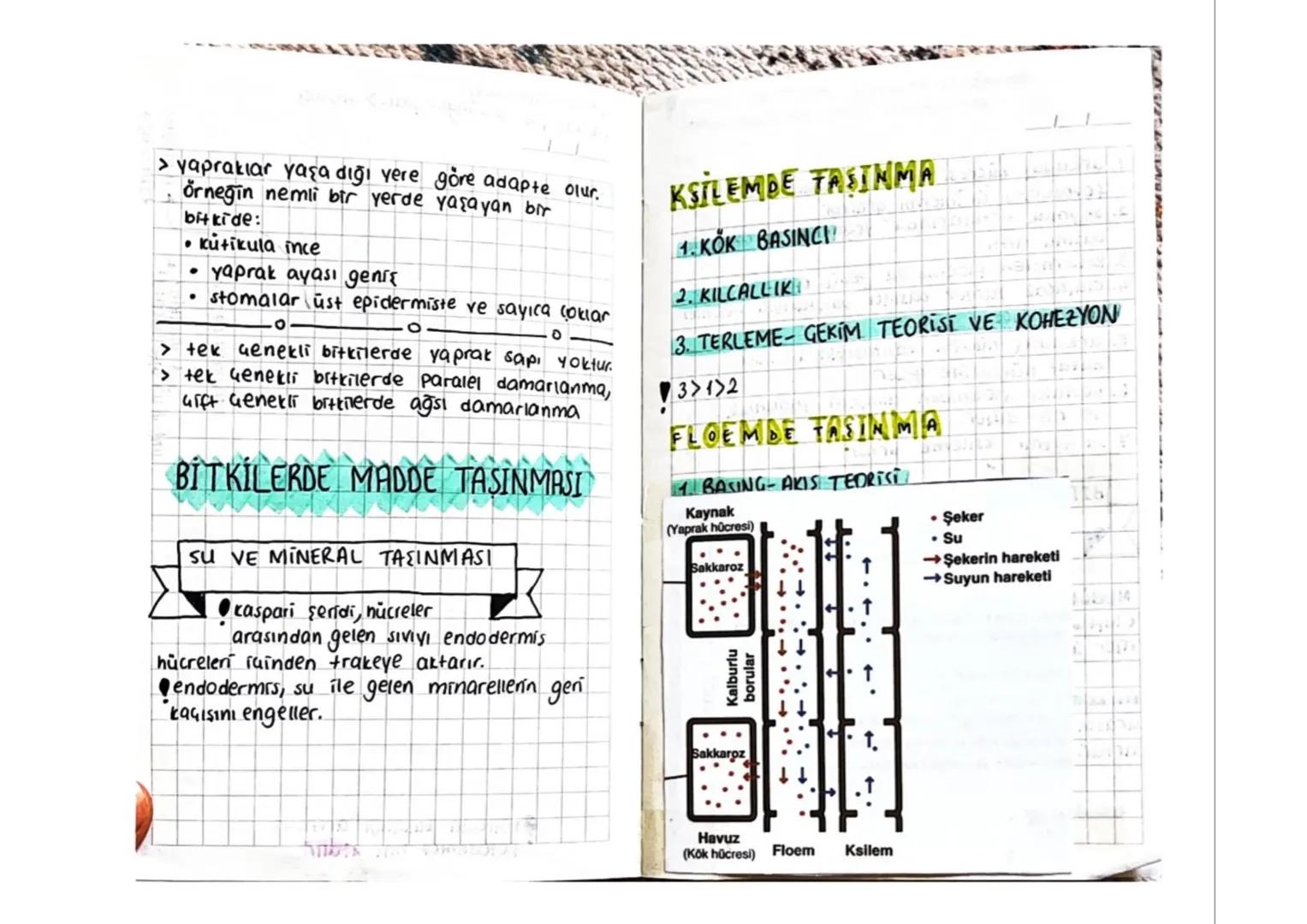 BİTKİLERİN YAPISI
BITKININ TEMEL KISIMLARININ YAPISI
☐ VE GÖREVLERİ
.
Çiçek
Tepe Tomurcuğu-
(sürgün ucu)
Yanal tomurcuk
Dalin tepe
tomurcuğu