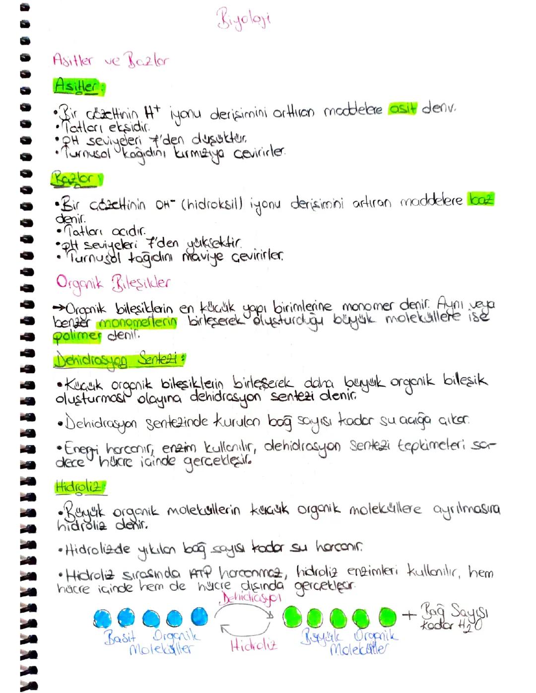 9 sınıf biyoloji asitler ve bazlar karbonhidratlar