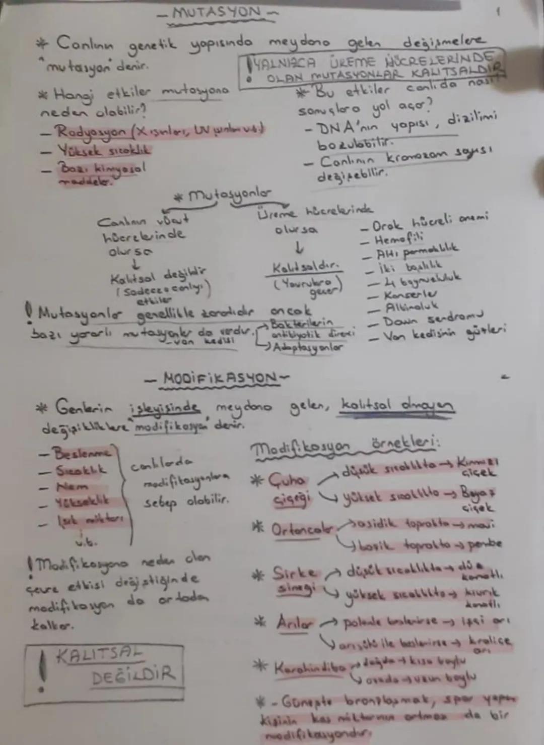 Mutasyon ve Modifikasyon Nedir?