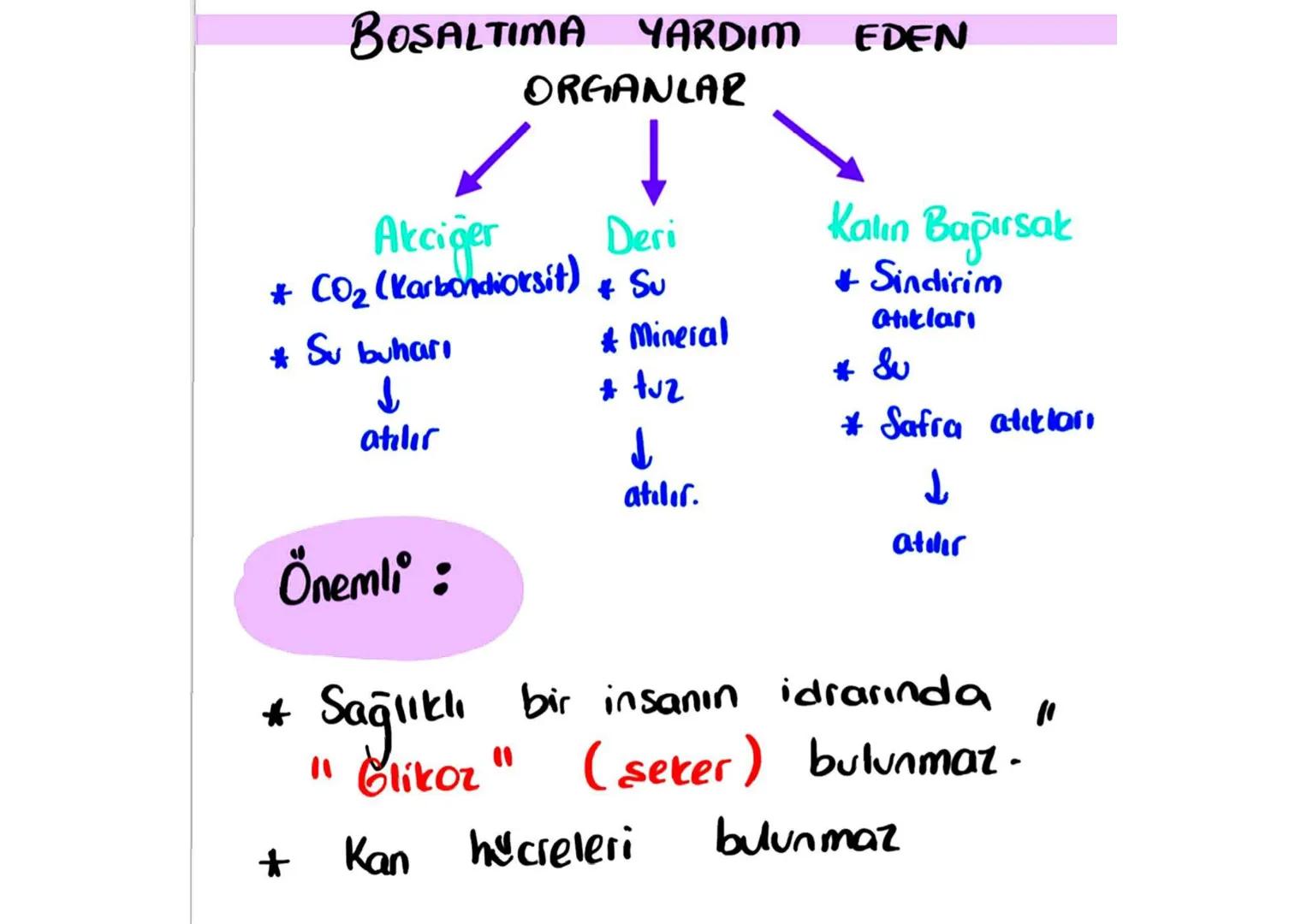 BOŞALTIM SISTEMI
Boşaltım: Hücrelerde yaşanan faaliyetler sonucu atık moddeler oluşur.
Atik maddelerin
vücuttan
Bu olayın gerçekleştiği
deni