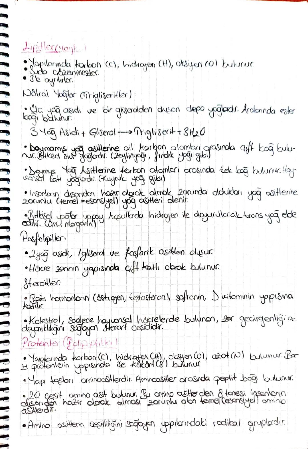 Biyoloji - Canlıların Yapısında Bulunan
-
Temel Bileşikler
• Insan vücudunun yapışında yaklaşık 25 farkli element bulunur.
En fazla bulunan 