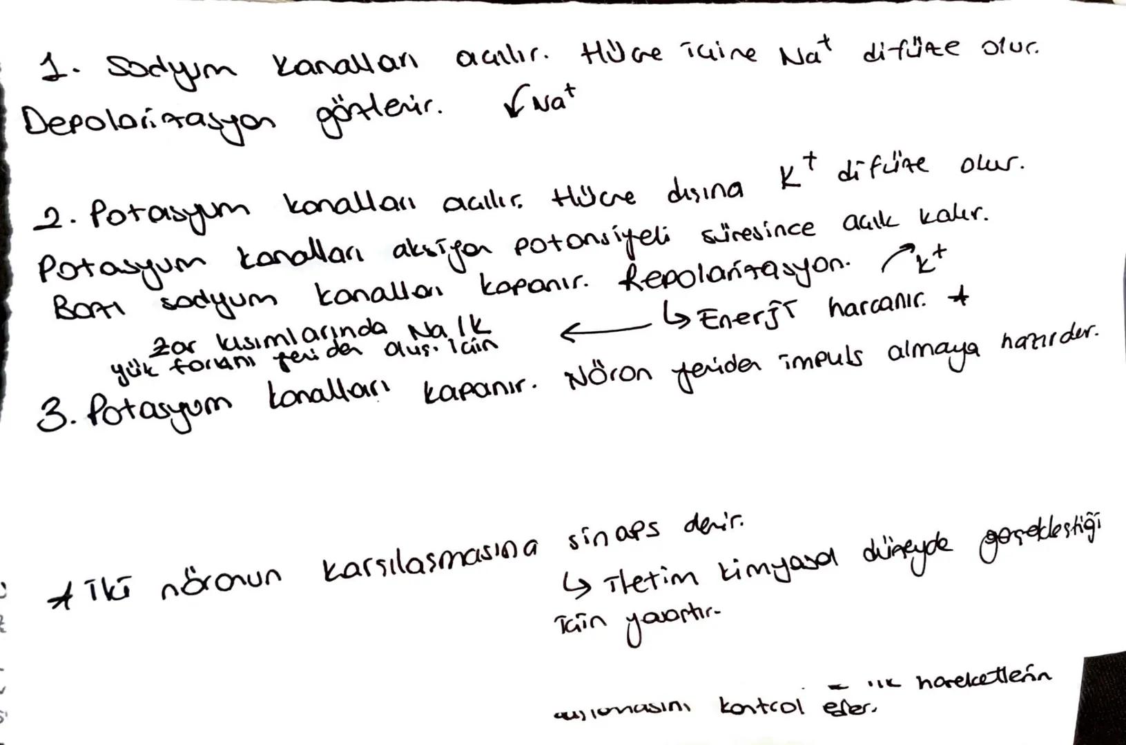 Nöroglia:
a: mijelin kellef dusturar
#hücre gövdesi
çekirdek
buluncherler.
ATP harcanır
Dendrit
bulundurul.
ατί και
unaklaştırır
mikroorgani