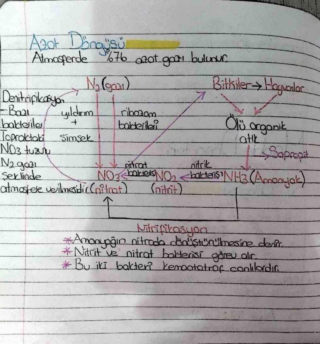 Ekosistem Ekolojisi
Ekoloji: Canlıların birbirleri ile ve consia cevreleri ile con ilişkileri
inceleyen biyolojinin alt bilim dalıdır.
Ekoby