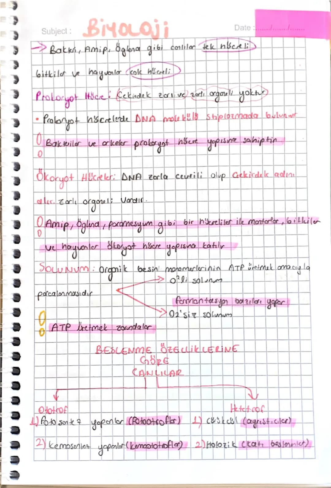 Subject: Biyoloji
Date:...........
→Bakken, Amip, Oglera gibi conliler tek niserli
bitkiler ve hayvalor cole his creli
Prokoryot Hüde: Çekir