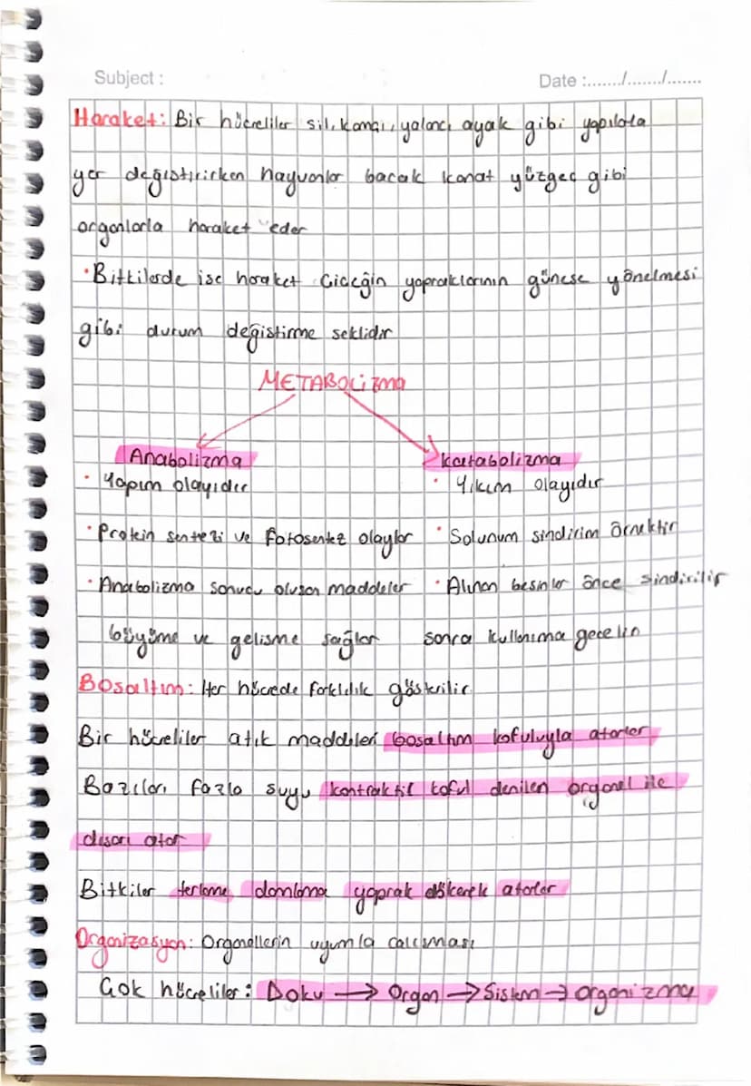 Subject: Biyoloji
Date:...........
→Bakken, Amip, Oglera gibi conliler tek niserli
bitkiler ve hayvalor cole his creli
Prokoryot Hüde: Çekir
