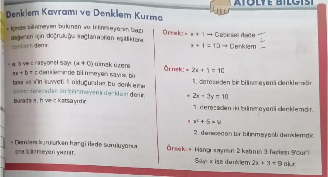 7. Sınıf denklem kurma ve denklem çözme 