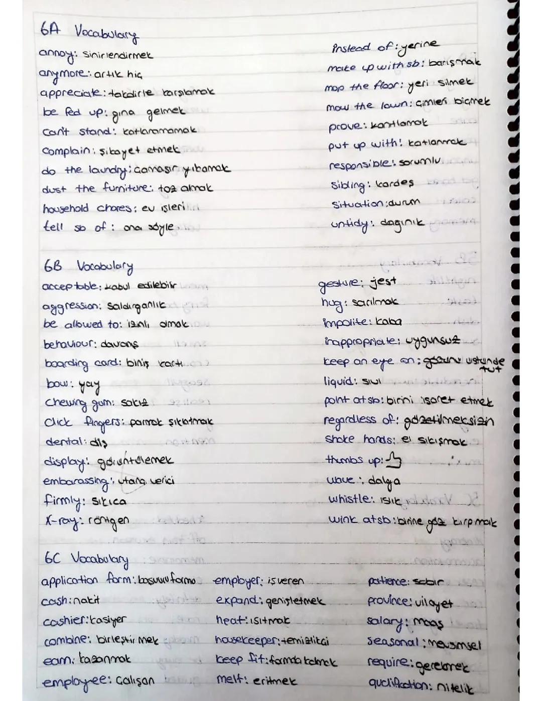 10. Sınıf İngilizce 6. Ünite: Kelimeler ve Türkçe Anlamları