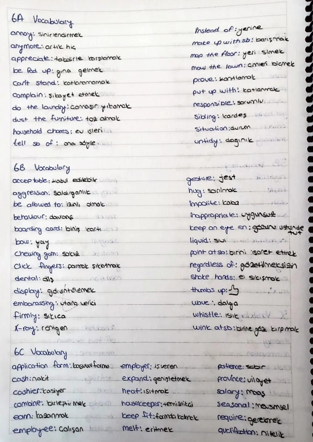 6A Vocabulary
annoy: sinirlendirmek
anymore: artık hiç
appreciate: takdirle karşılamak
be fed up: gina gelmek
Can't stand: Katlanamamak
Comp