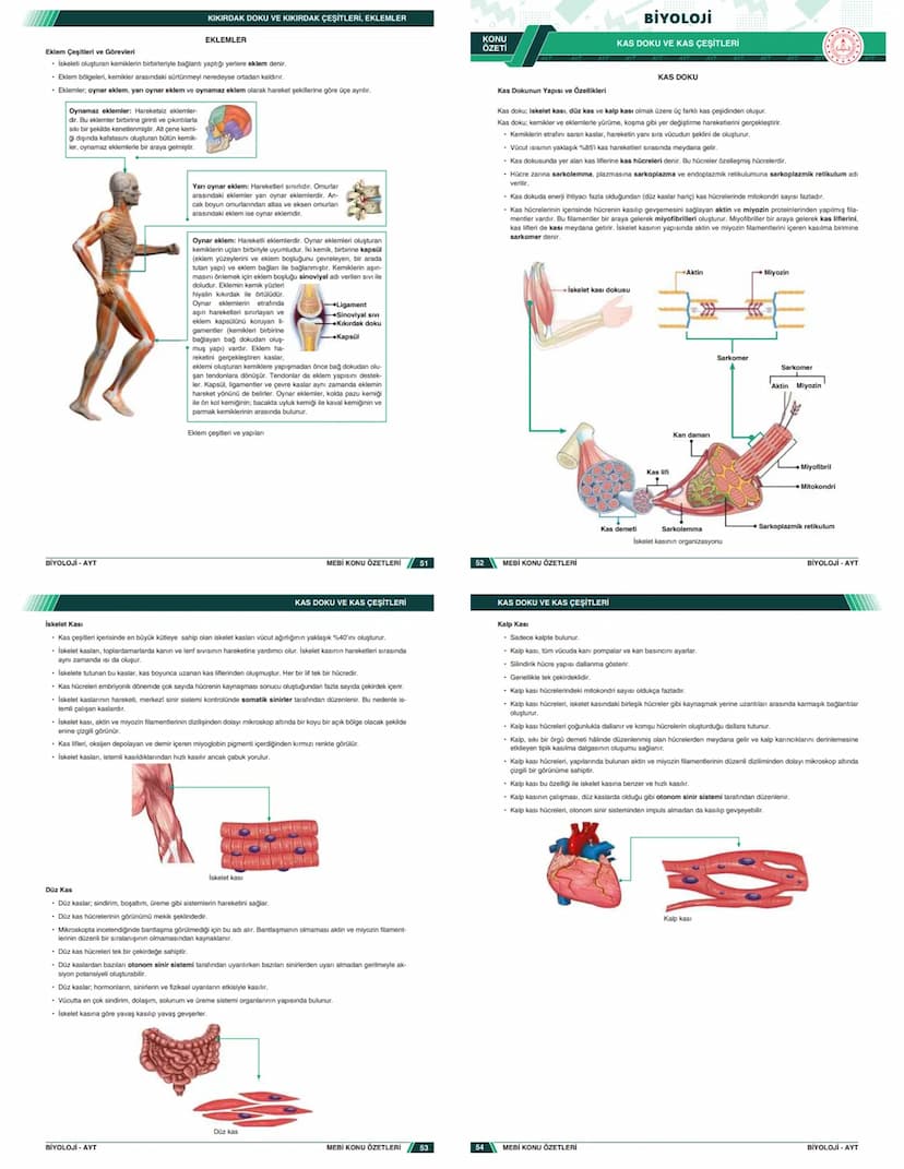 # KONU ÖZETLERİ

## BİYOLOJİ

### AYT

- Zengin ve Anlaşılır İçerik
- Hızlı ve Etkili Öğrenme
- Görsel Destekli Anlatım

# KONU ÖZETLERİ

##