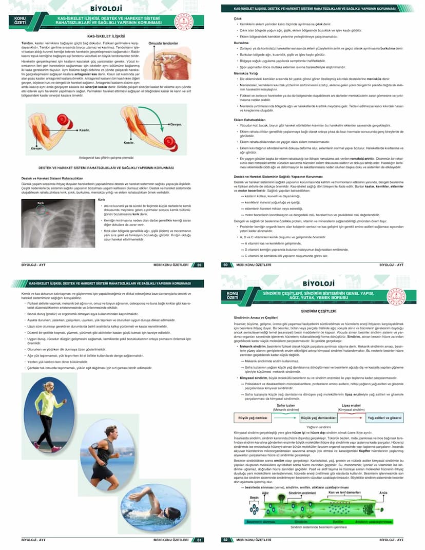 # KONU ÖZETLERİ

## BİYOLOJİ

### AYT

- Zengin ve Anlaşılır İçerik
- Hızlı ve Etkili Öğrenme
- Görsel Destekli Anlatım

# KONU ÖZETLERİ

##
