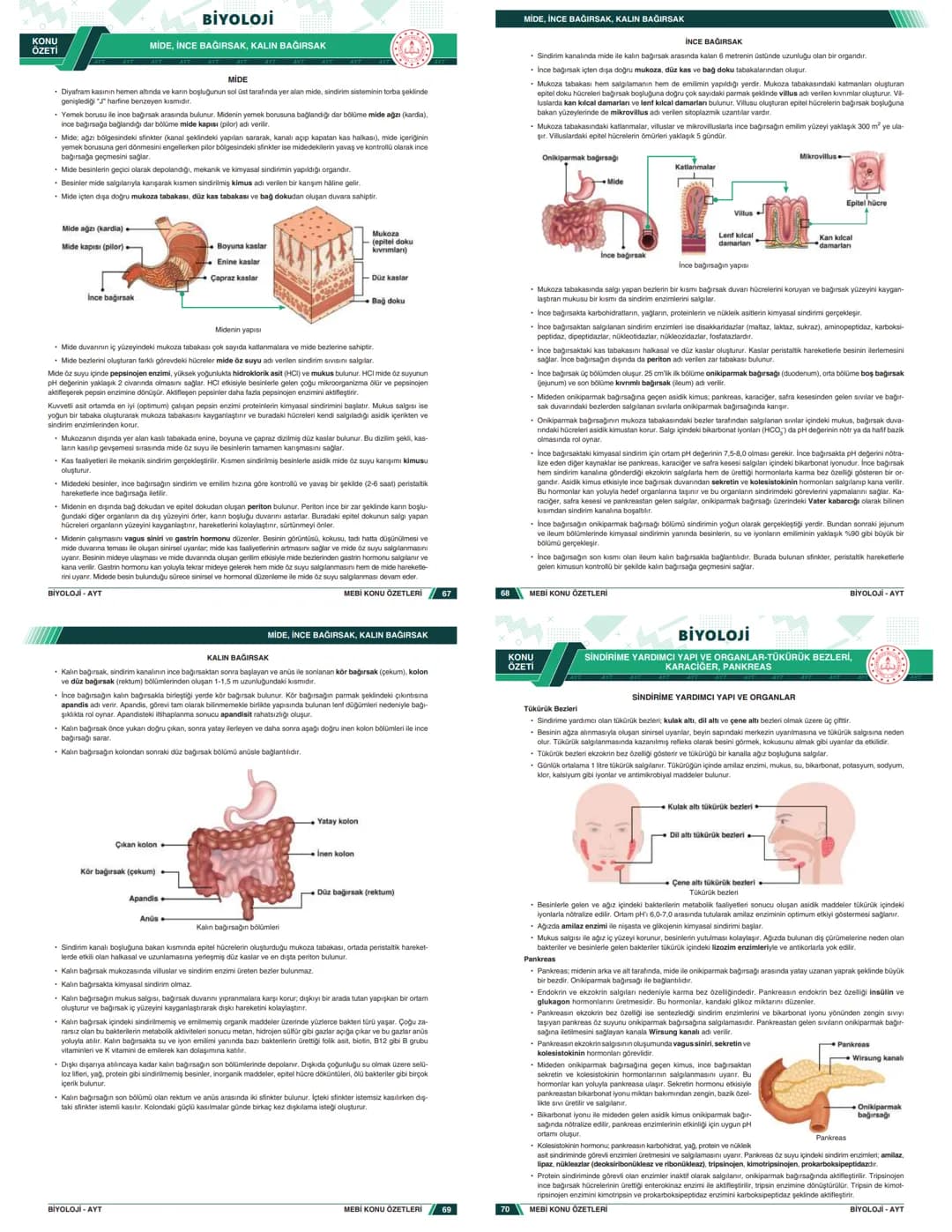 # KONU ÖZETLERİ

## BİYOLOJİ

### AYT

- Zengin ve Anlaşılır İçerik
- Hızlı ve Etkili Öğrenme
- Görsel Destekli Anlatım

# KONU ÖZETLERİ

##