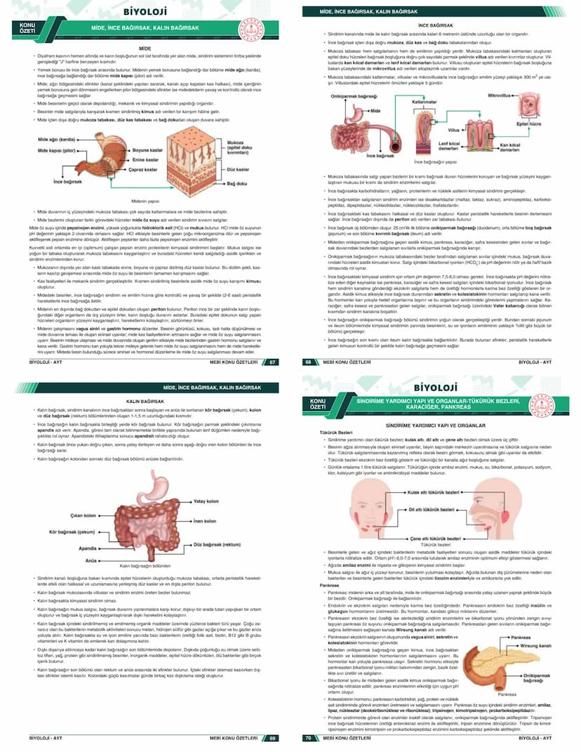 # KONU ÖZETLERİ

## BİYOLOJİ

### AYT

- Zengin ve Anlaşılır İçerik
- Hızlı ve Etkili Öğrenme
- Görsel Destekli Anlatım

# KONU ÖZETLERİ

##