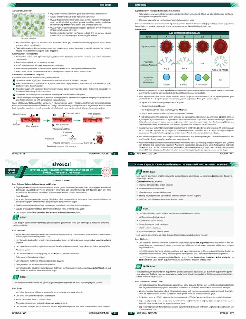 # KONU ÖZETLERİ

## BİYOLOJİ

### AYT

- Zengin ve Anlaşılır İçerik
- Hızlı ve Etkili Öğrenme
- Görsel Destekli Anlatım

# KONU ÖZETLERİ

##