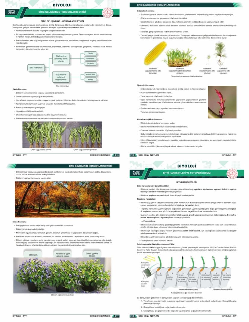 # KONU ÖZETLERİ

## BİYOLOJİ

### AYT

- Zengin ve Anlaşılır İçerik
- Hızlı ve Etkili Öğrenme
- Görsel Destekli Anlatım

# KONU ÖZETLERİ

##