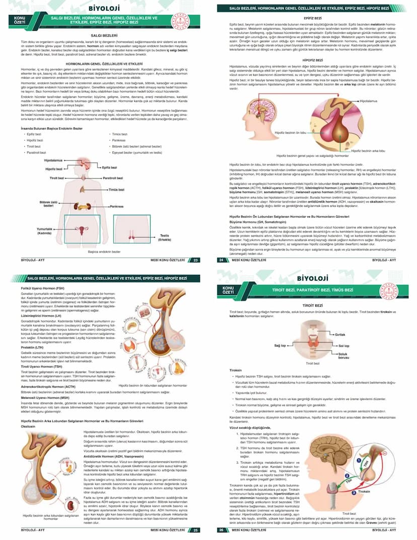 # KONU ÖZETLERİ

## BİYOLOJİ

### AYT

- Zengin ve Anlaşılır İçerik
- Hızlı ve Etkili Öğrenme
- Görsel Destekli Anlatım

# KONU ÖZETLERİ

##