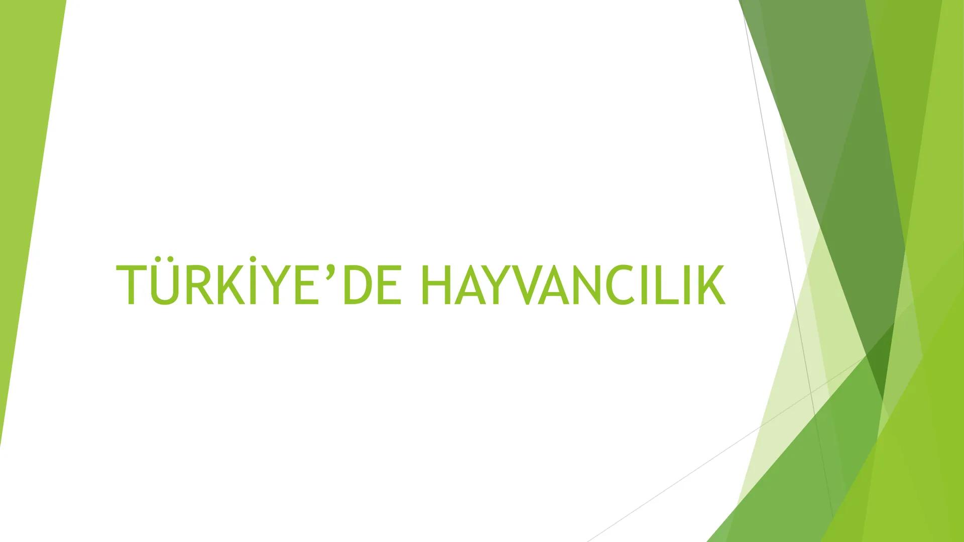 TÜRKİYE'DE HAYVANCILIK TÜRKİYE'DE HAYVANCILIK
gelismemis
-nicel
zayıf
irī
nitel sorun
kaute
NOT 1: Türkiye hayvan sayısı bakımından Avrupa'd