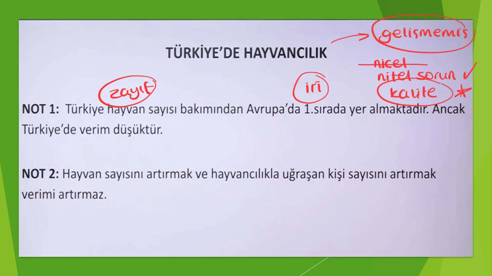 TÜRKİYE'DE HAYVANCILIK TÜRKİYE'DE HAYVANCILIK
gelismemis
-nicel
zayıf
irī
nitel sorun
kaute
NOT 1: Türkiye hayvan sayısı bakımından Avrupa'd