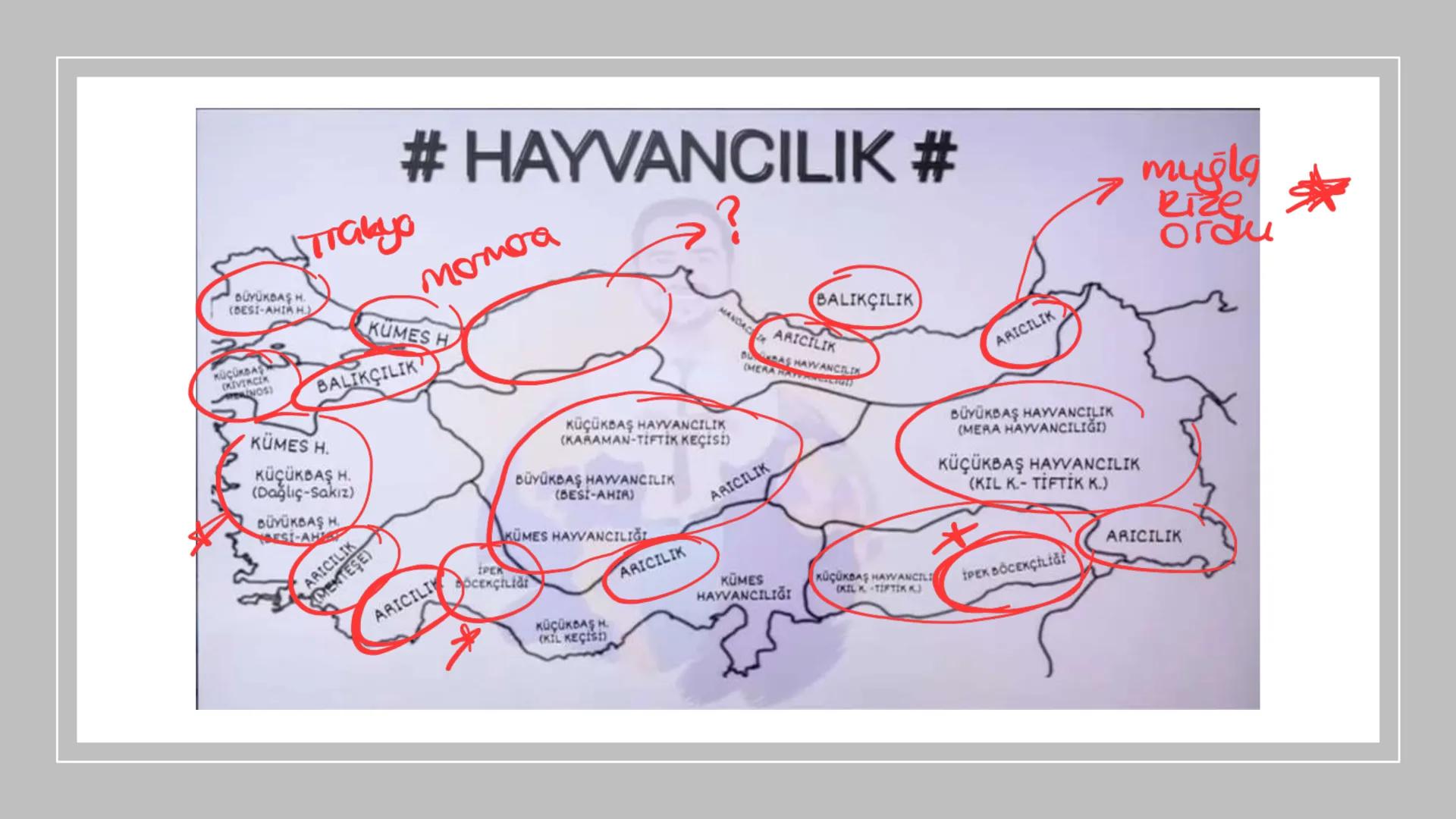 TÜRKİYE'DE HAYVANCILIK TÜRKİYE'DE HAYVANCILIK
gelismemis
-nicel
zayıf
irī
nitel sorun
kaute
NOT 1: Türkiye hayvan sayısı bakımından Avrupa'd