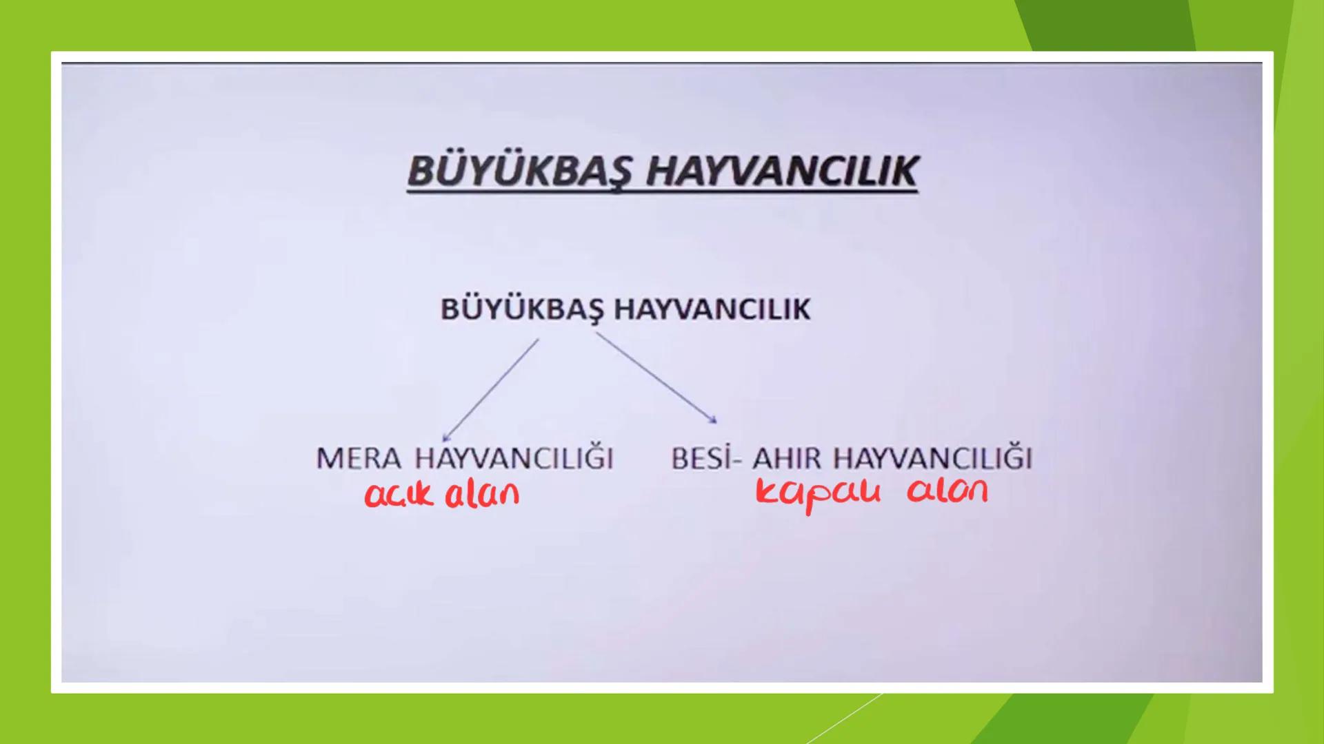 TÜRKİYE'DE HAYVANCILIK TÜRKİYE'DE HAYVANCILIK
gelismemis
-nicel
zayıf
irī
nitel sorun
kaute
NOT 1: Türkiye hayvan sayısı bakımından Avrupa'd