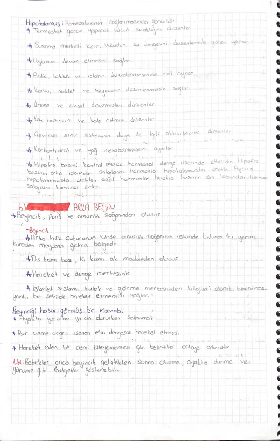 NORON YAPISI VE GESITLERI
Contibern Gevresel uyorilora Cevor vermeshi
Saglayan Sistern; Sinir sistemi
ve uygun cevabi kisa Surade
glia hücre