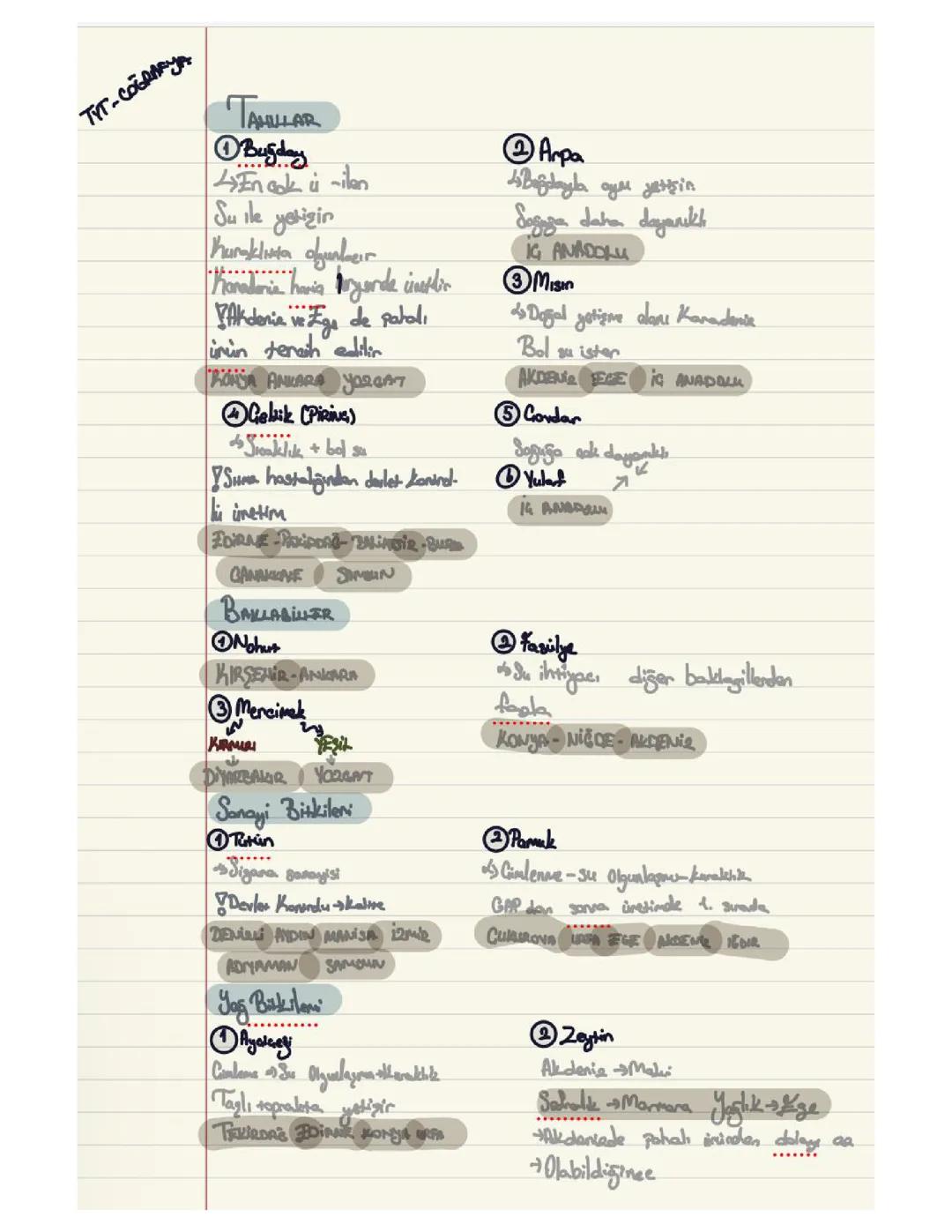 TYT cografya tahıllar 