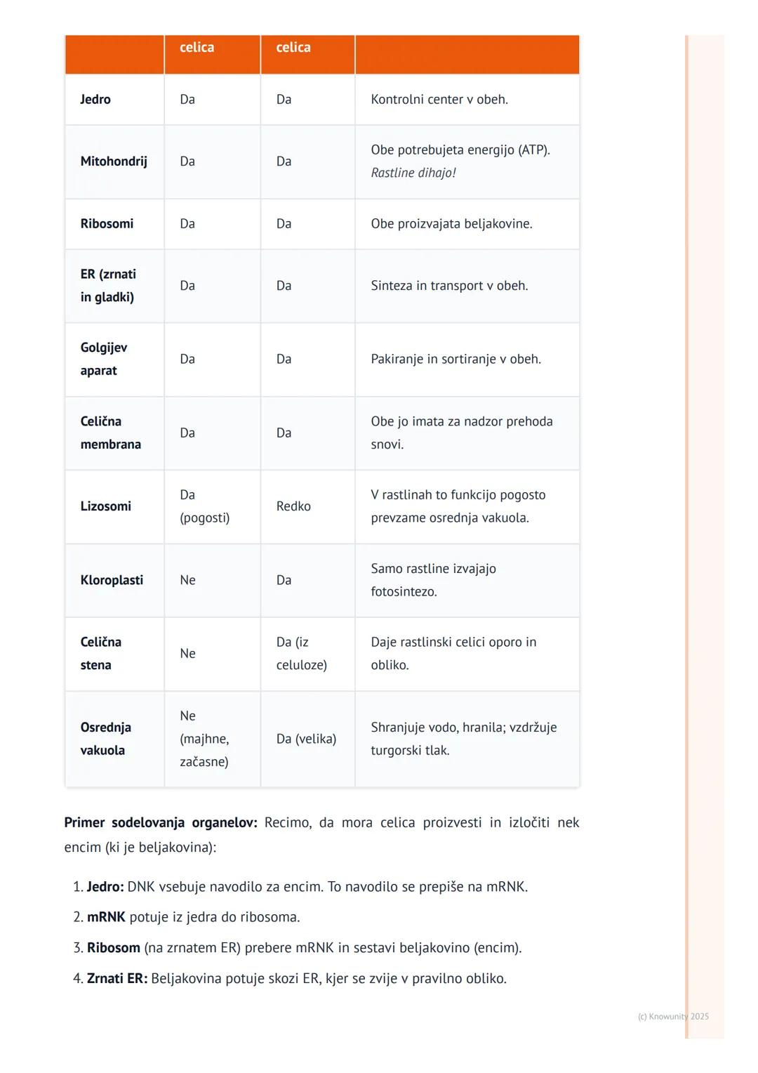 # Celični organeli in njihove funkcije

Uvod v celične organele

Celični organeli so kot majhni "organi" znotraj celice. Vsak ima svojo spec