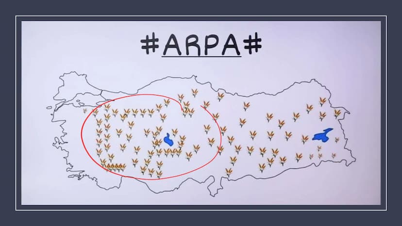 TÜRKİYE'DE TARIM Tarım Tipleri
▸ Ekstansif Tarım
eski tarım
geleneksel, kaba, eski tarım
İklim koşullarına bağlıdır ve verim düşüktür
Genell