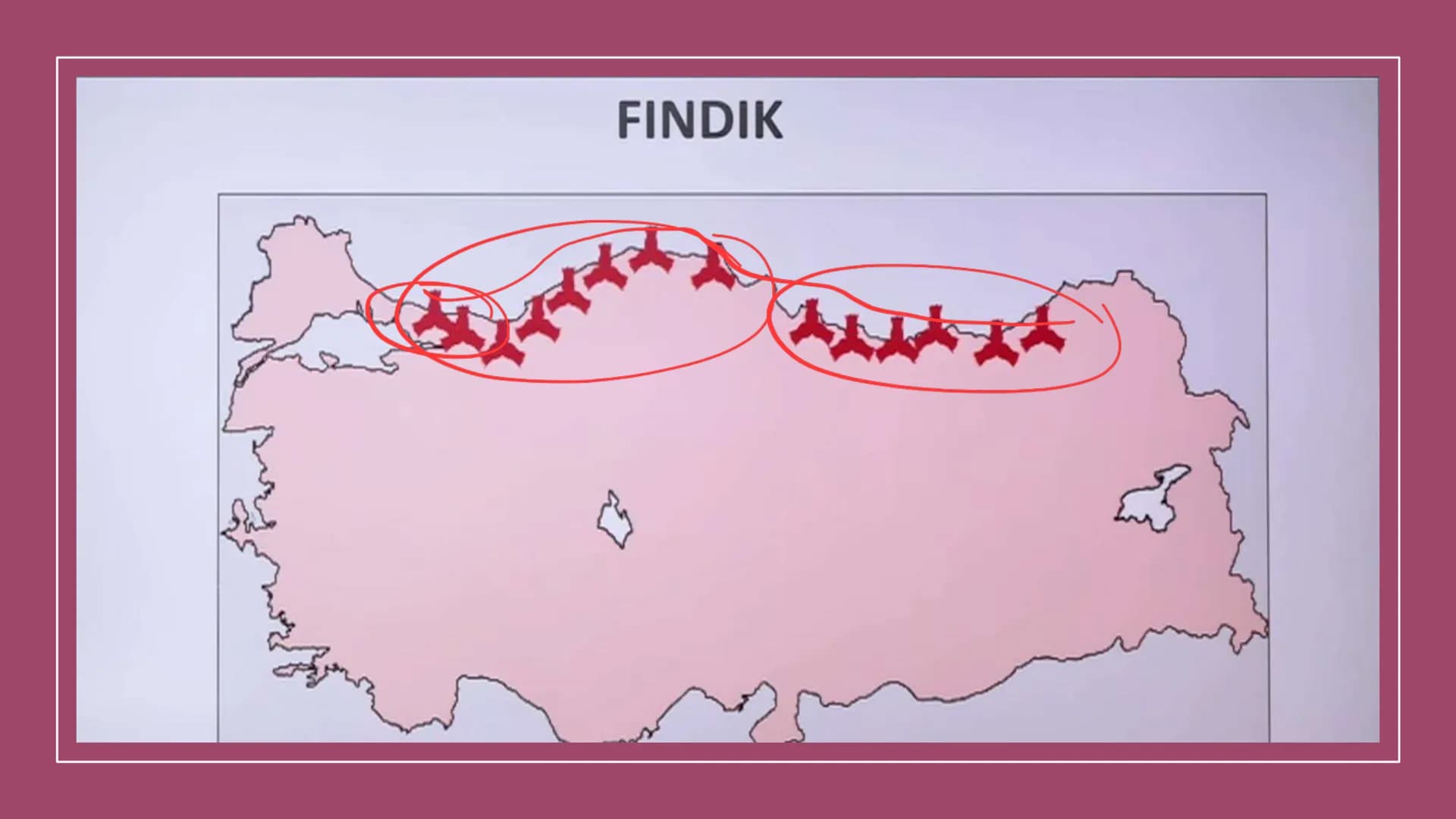 TÜRKİYE'DE TARIM Tarım Tipleri
▸ Ekstansif Tarım
eski tarım
geleneksel, kaba, eski tarım
İklim koşullarına bağlıdır ve verim düşüktür
Genell