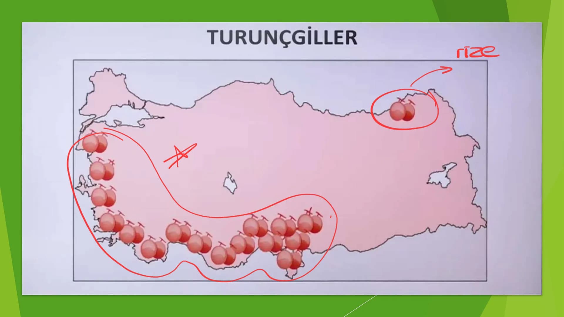 TÜRKİYE'DE TARIM Tarım Tipleri
▸ Ekstansif Tarım
eski tarım
geleneksel, kaba, eski tarım
İklim koşullarına bağlıdır ve verim düşüktür
Genell