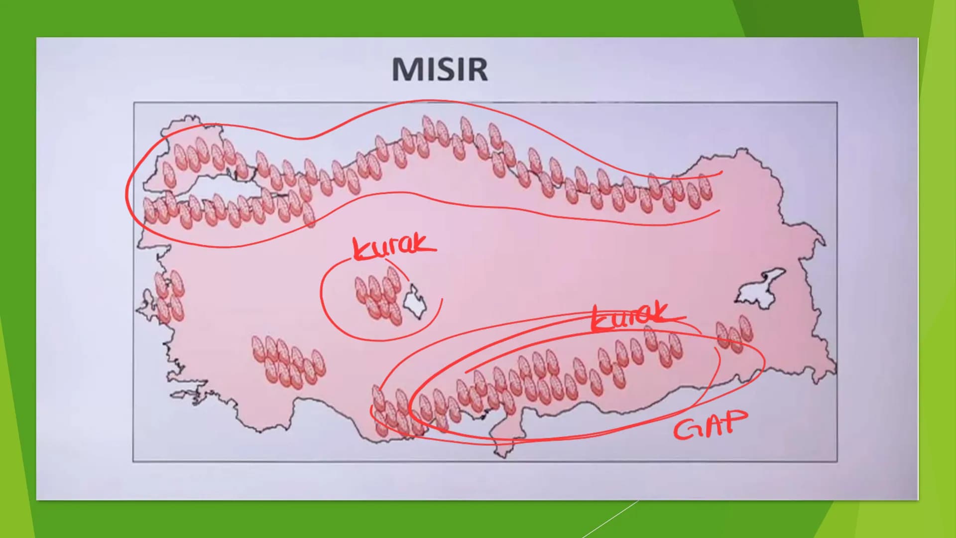 TÜRKİYE'DE TARIM Tarım Tipleri
▸ Ekstansif Tarım
eski tarım
geleneksel, kaba, eski tarım
İklim koşullarına bağlıdır ve verim düşüktür
Genell