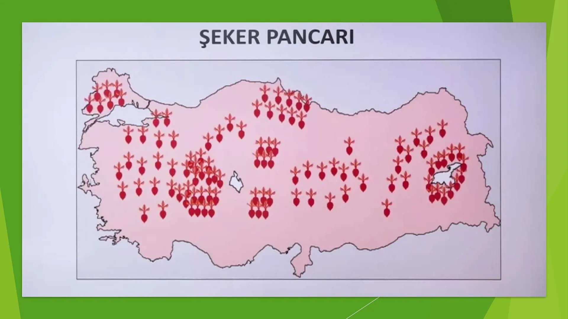 TÜRKİYE'DE TARIM Tarım Tipleri
▸ Ekstansif Tarım
eski tarım
geleneksel, kaba, eski tarım
İklim koşullarına bağlıdır ve verim düşüktür
Genell