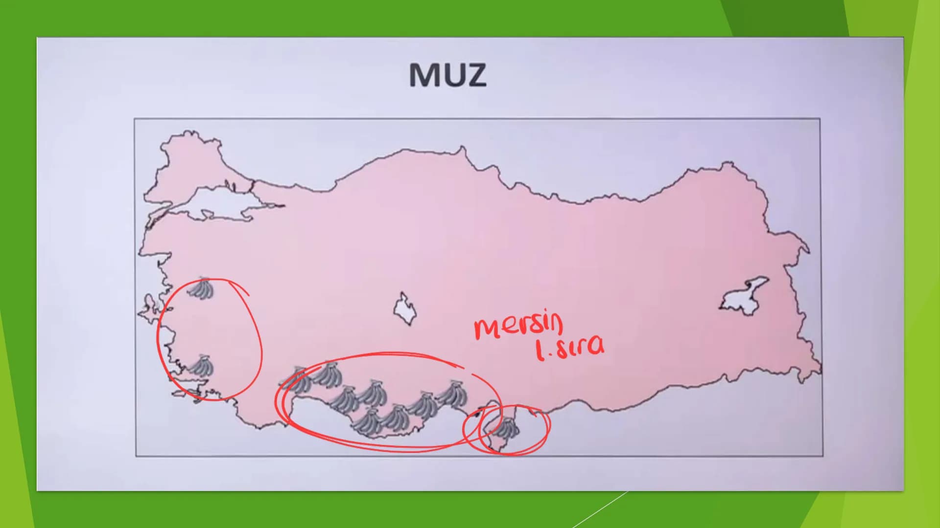 TÜRKİYE'DE TARIM Tarım Tipleri
▸ Ekstansif Tarım
eski tarım
geleneksel, kaba, eski tarım
İklim koşullarına bağlıdır ve verim düşüktür
Genell