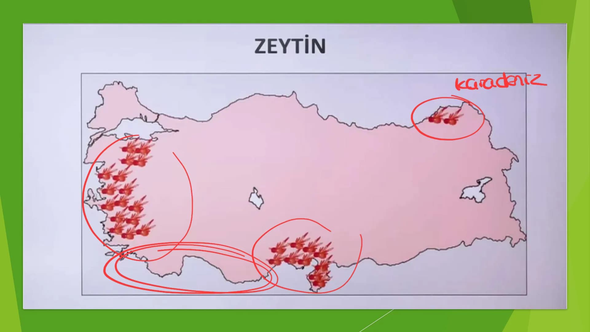 TÜRKİYE'DE TARIM Tarım Tipleri
▸ Ekstansif Tarım
eski tarım
geleneksel, kaba, eski tarım
İklim koşullarına bağlıdır ve verim düşüktür
Genell