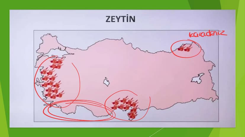 TÜRKİYE'DE TARIM Tarım Tipleri
▸ Ekstansif Tarım
eski tarım
geleneksel, kaba, eski tarım
İklim koşullarına bağlıdır ve verim düşüktür
Genell