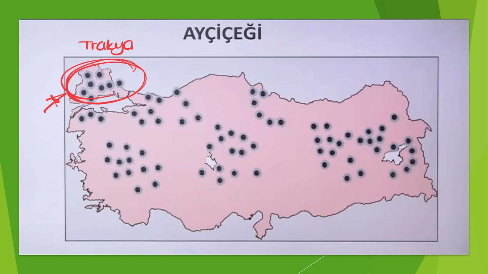 TÜRKİYE'DE TARIM Tarım Tipleri
▸ Ekstansif Tarım
eski tarım
geleneksel, kaba, eski tarım
İklim koşullarına bağlıdır ve verim düşüktür
Genell