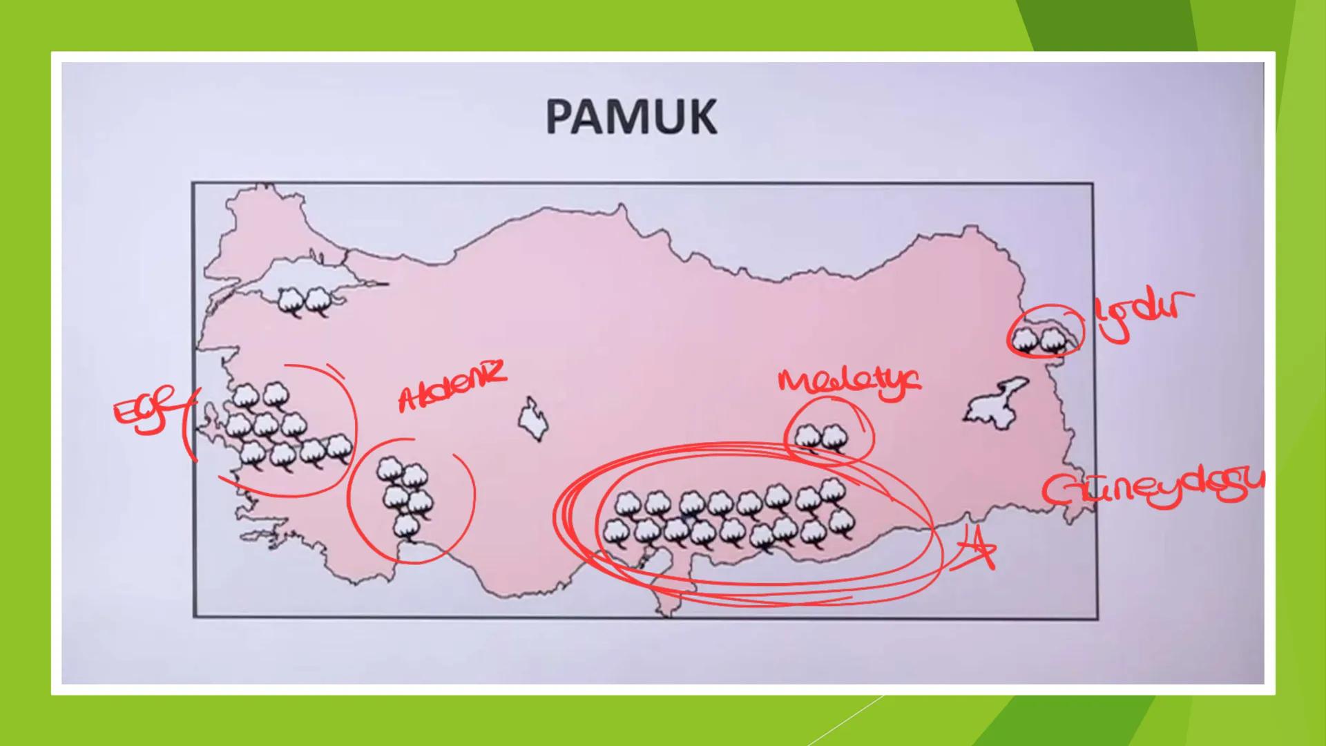 TÜRKİYE'DE TARIM Tarım Tipleri
▸ Ekstansif Tarım
eski tarım
geleneksel, kaba, eski tarım
İklim koşullarına bağlıdır ve verim düşüktür
Genell