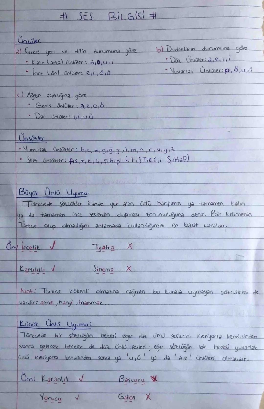 # SES BİLGİSİ #

Ünlüler

2) Gıkış yeri ve dilin durumuna göre
*   Kalın (arka) ünlüler: 2,0,4,
*   Ince (on) ünlüler: e, i, o, u

c) Ağzın 