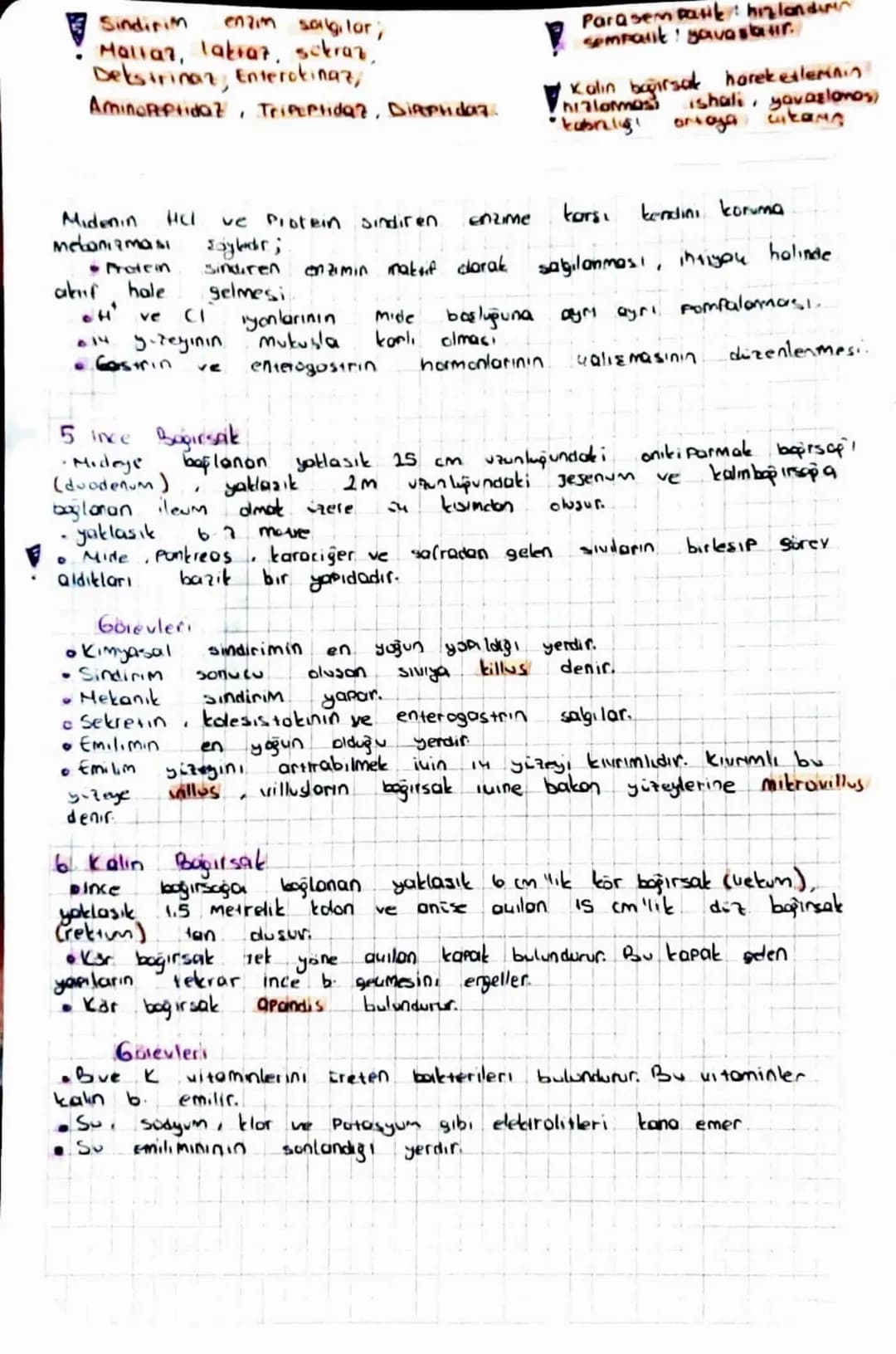 Kesici Disler Alt ve ist Menede onde bulunur. L'er fane
tanedir.
Köpek Dişleri: Kesici dişlerin yanındadır est ve altta 2 Freder
tanedir.
Az