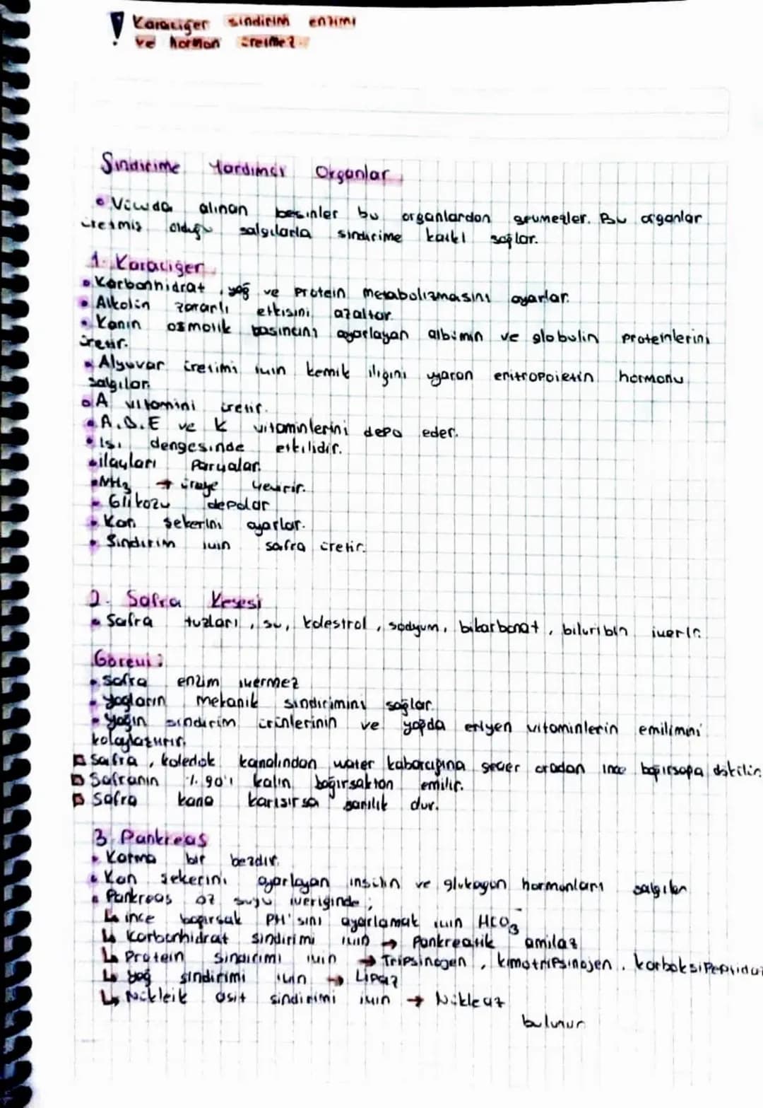 Kesici Disler Alt ve ist Menede onde bulunur. L'er fane
tanedir.
Köpek Dişleri: Kesici dişlerin yanındadır est ve altta 2 Freder
tanedir.
Az