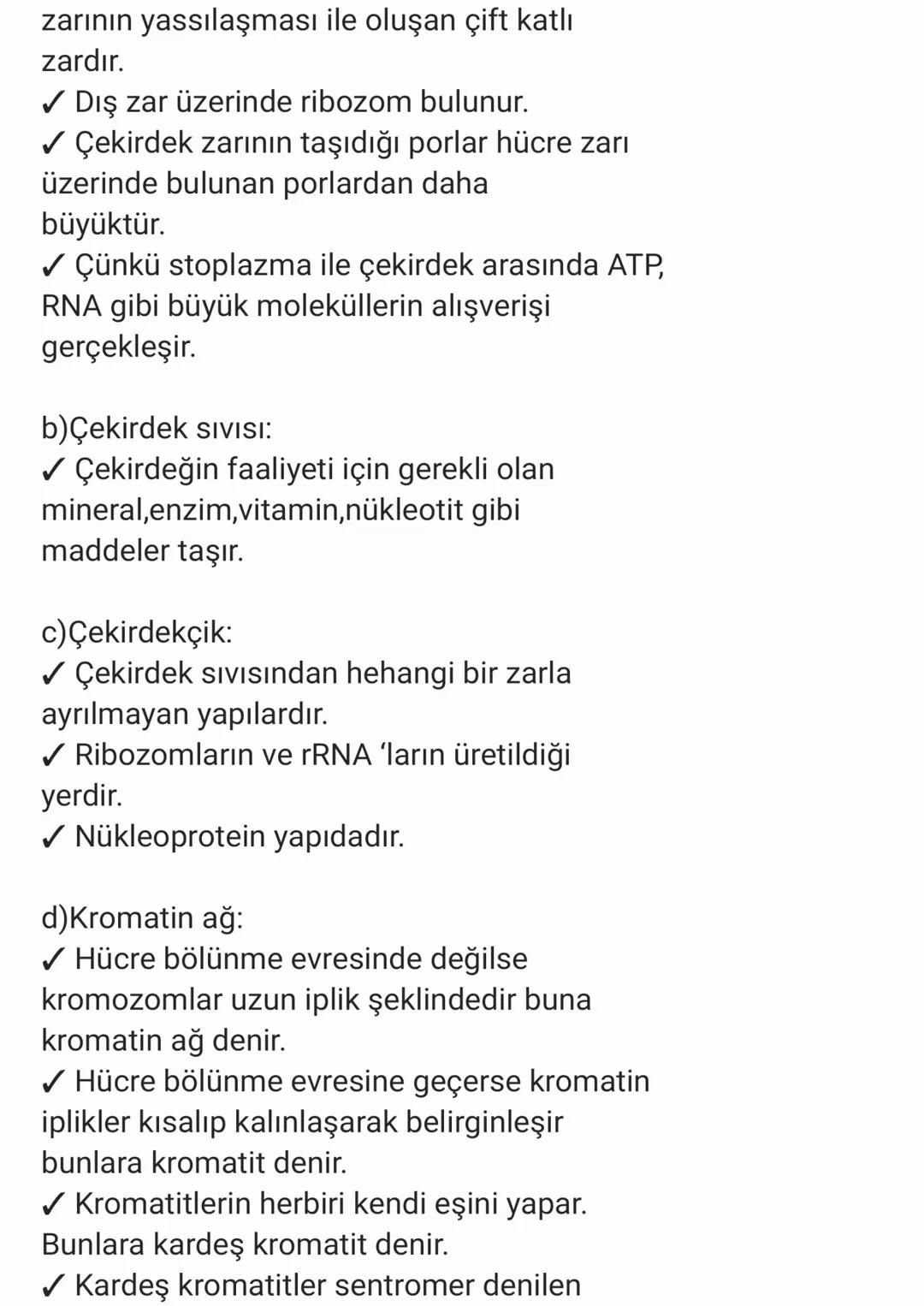 STOPLAZMA VE ORGANELLER:
✓ Ökaryot hücrelerde çekirdek ile hücre zarı
arasında kalan kısma sitoplazma denir.
✓ Sitoplazma, organellerden ve 